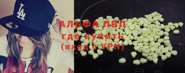 крисы Алзамай