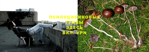 скорость Абинск