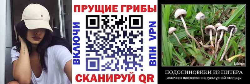 Псилоцибиновые грибы мухоморы  Суоярви 